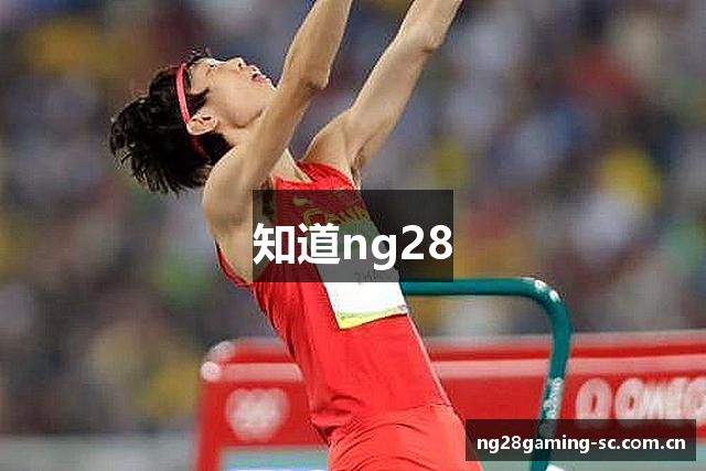 知道ng28